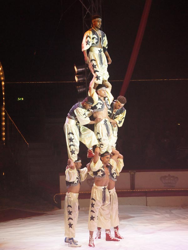 Stunt_600x800