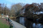 0IMG_0282 copy