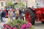 DSC03163_600x400