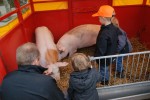 DSC03170_600x400