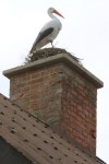 IMG_0863_400x600