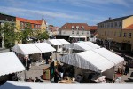 IMG_9327 copy