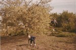 scan0028_600x400