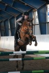 DSC03769_400x600