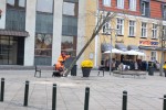 IMG_4446_600x250
