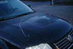 DSC09986_600x400