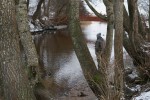 Fiskeri1_600x400