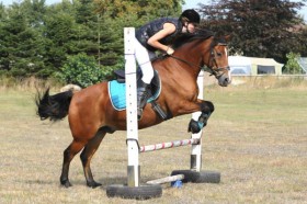 Voersaa ridestaevne copy