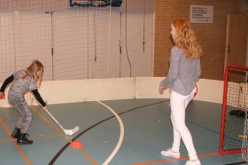 sf floorball,signe