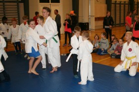 sf judo2