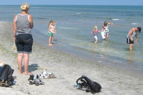 IMG_4813_600x400