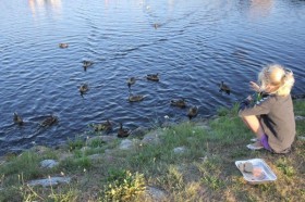 IMG_6760_600x400