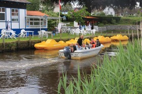 IMG_1352 copy