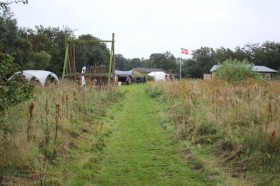 IMG_8954