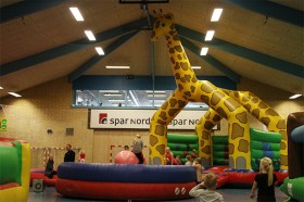 IMG_0288 copy