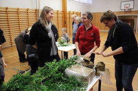IMG_9135 copy