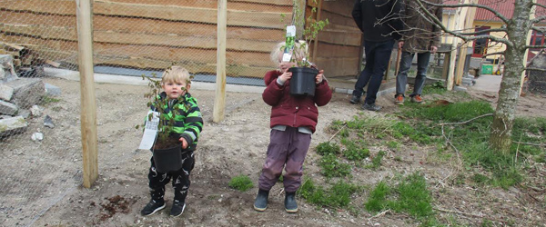 Plantedag i Børnehuset<br> Brolæggervej i Sæby