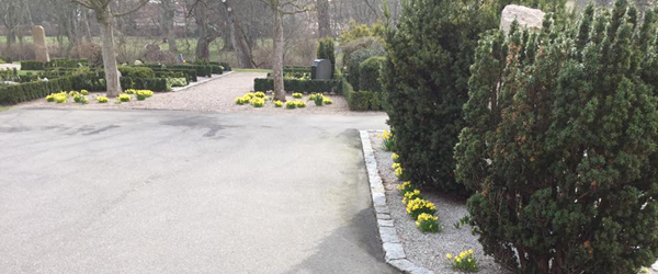Forårsplanterne er ude<br> også på Sæby Kirkegård Forårsplanterne er ude<br> også på Sæby Kirkegård