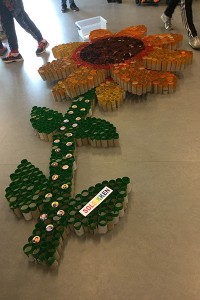 IMG_0591 copy