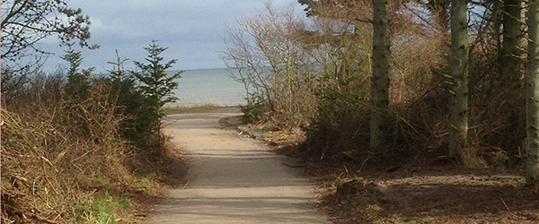 Sti til stranden har fået flot afpudsning Sti til stranden har fået flot afpudsning