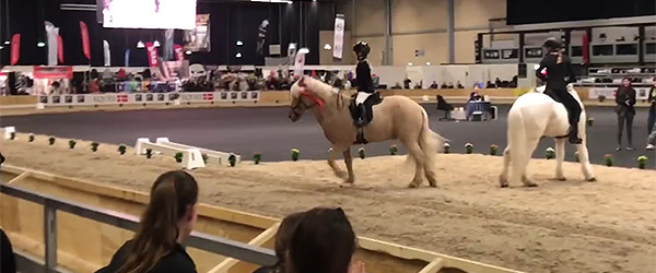 Lokale Mia-Maya knokler for en plads til DM Lokale Mia-Maya knokler for en plads til DM
