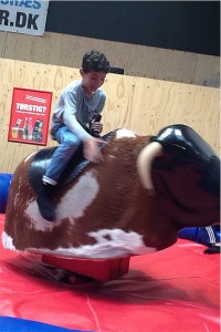 Ridt på Rodeotyr kopier
