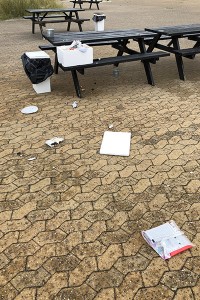 IMG_1452 kopier