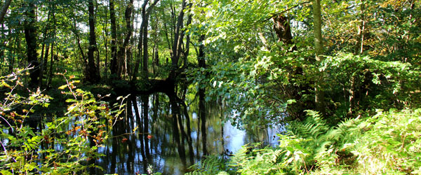 Kom med ud i naturen<br>…