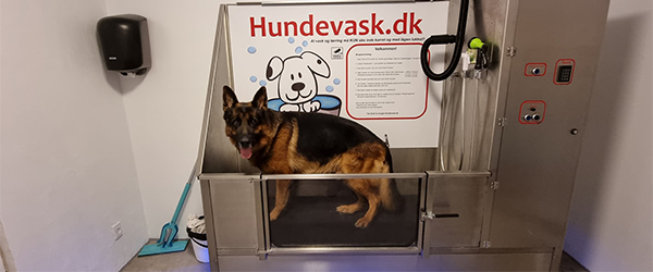 Foto: Hundevask.dk Mangler din hund et grundigt bad? Hundevask.dk åbner på Aalborgvej