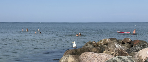 Sommerliv på stranden i Sæby Sommerliv på stranden i Sæby